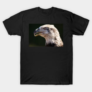 Bald Eagle portrait T-Shirt